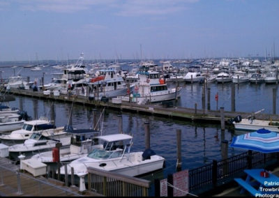 Nearby Attractions 2